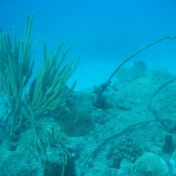 IMG_0810 IMG_0810