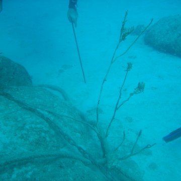 IMG_0811 IMG_0811