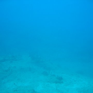 IMG_0813 IMG_0813