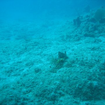 IMG_0817 IMG_0817