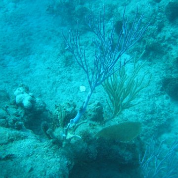 IMG_0825 IMG_0825