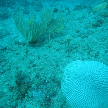 IMG_0827 IMG_0827