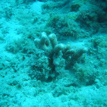 IMG_0829 IMG_0829