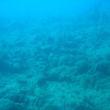 IMG_0830 IMG_0830