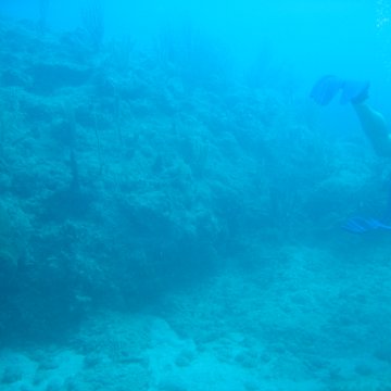 IMG_0836 IMG_0836