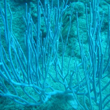 IMG_0837 IMG_0837