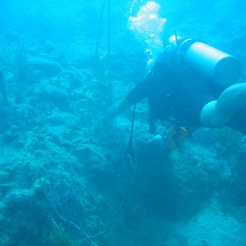 IMG_0838 IMG_0838