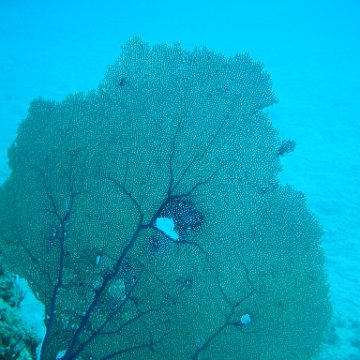 IMG_0841 IMG_0841