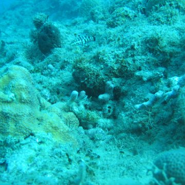 IMG_0846 IMG_0846