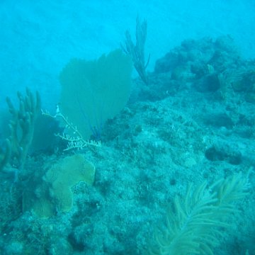 IMG_0848 IMG_0848
