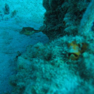 IMG_0849 IMG_0849