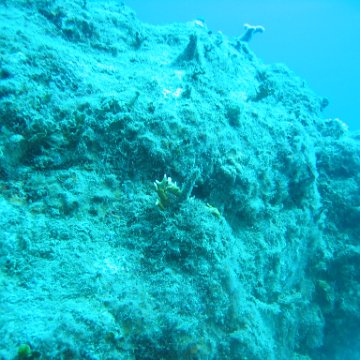 IMG_0850 IMG_0850