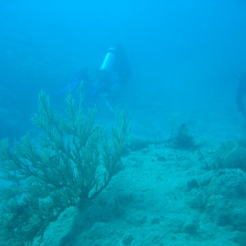 IMG_0853 IMG_0853