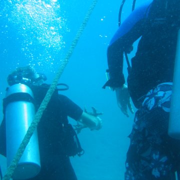 IMG_0858 IMG_0858