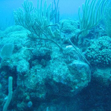 IMG_0866 IMG_0866