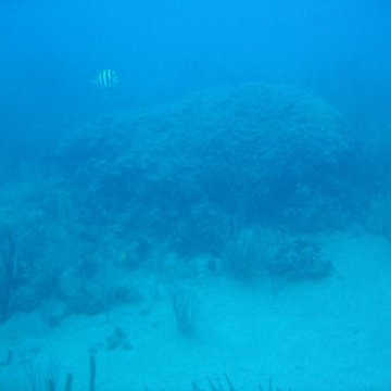 IMG_0868 IMG_0868