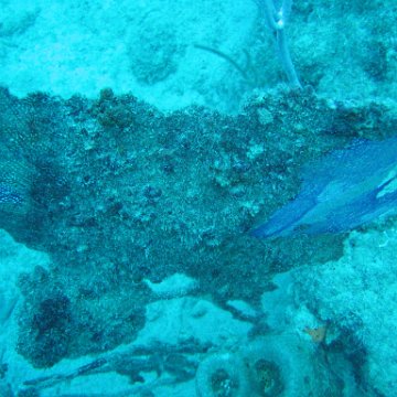 IMG_0871 IMG_0871