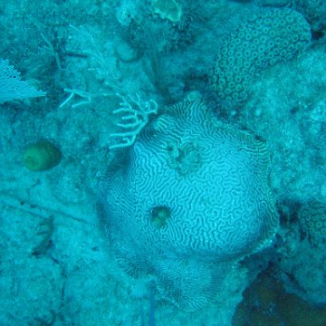 IMG_0873 IMG_0873