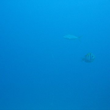 IMG_0874 IMG_0874