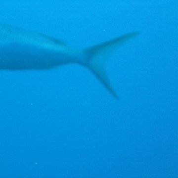 IMG_0875 IMG_0875