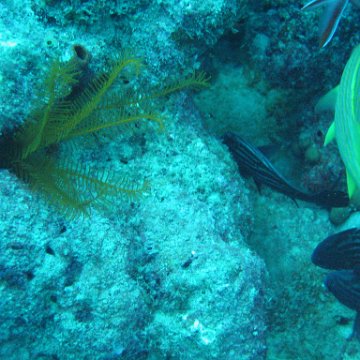 IMG_0886 IMG_0886