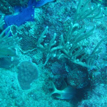 IMG_0890 IMG_0890