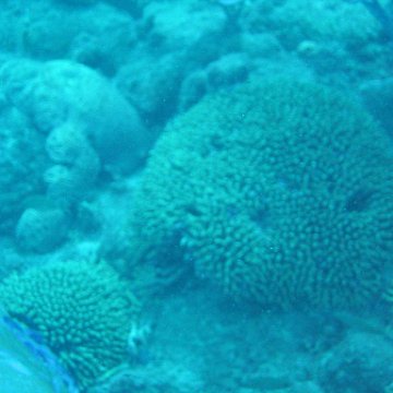 IMG_0897 IMG_0897