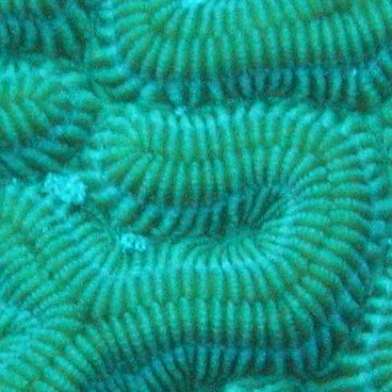 IMG_0900 IMG_0900