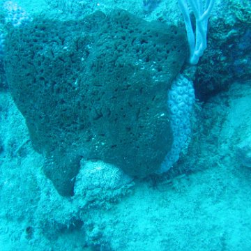IMG_0919 IMG_0919