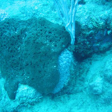 IMG_0920 IMG_0920