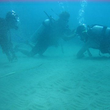 IMG_9482 IMG_9482