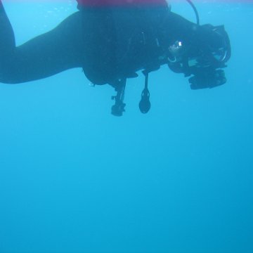 IMG_9484 IMG_9484