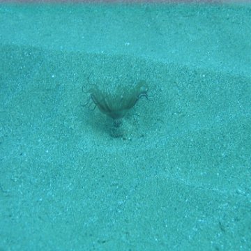IMG_9487 IMG_9487