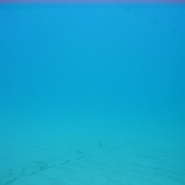 IMG_9492 IMG_9492