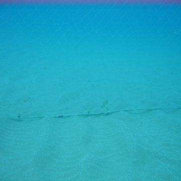 IMG_9493 IMG_9493