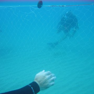 IMG_9494 IMG_9494