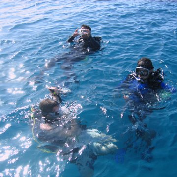 IMG_9500 IMG_9500