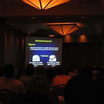 IMG_1205 IMG_1205