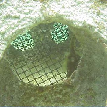 image12 image12