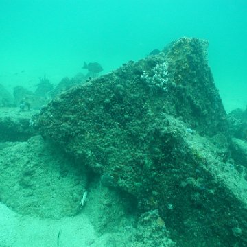 P7132803 P7132803