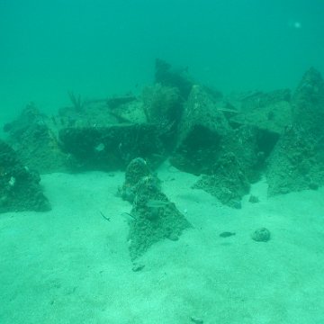 P7132814 P7132814