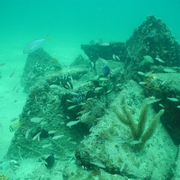 P7132826 P7132826