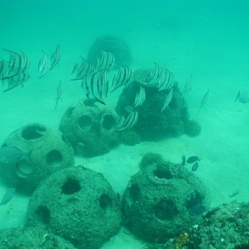 p7132764