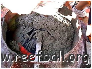 reefball06