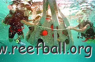 REEF BALLS