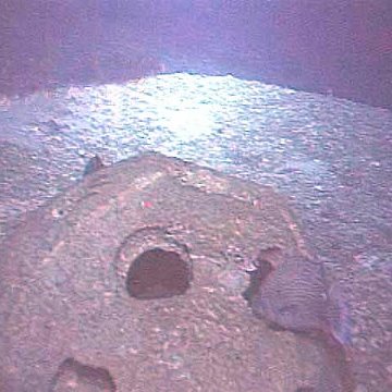 speckled_hind_reefball_600
