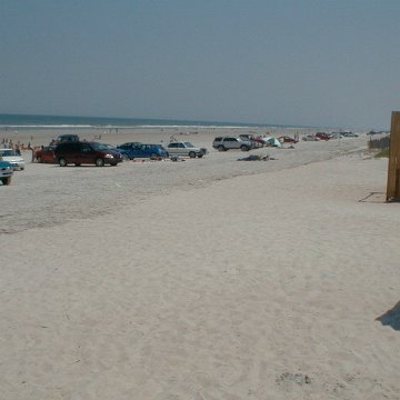 PIC00029 PIC00029
