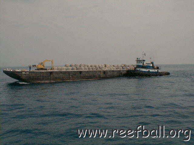 PIC00028