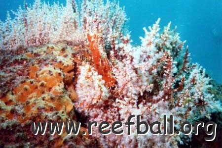 file_01