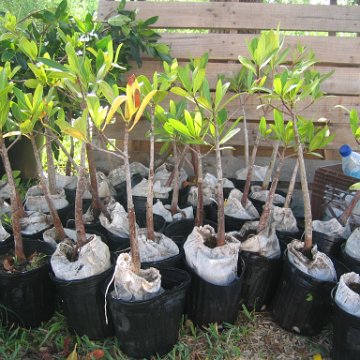 IMG_0004 IMG_0004